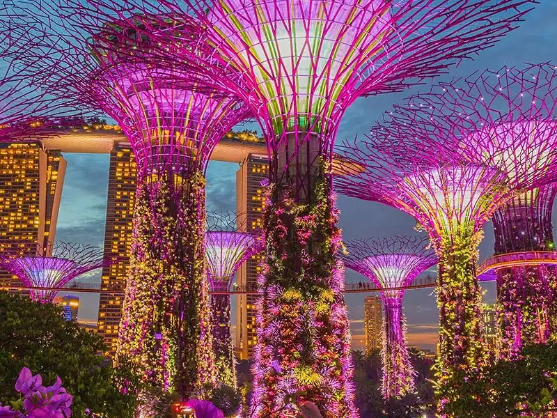 Gardens by the Bay Singapore - singapore visit visa consultant ahmedabad